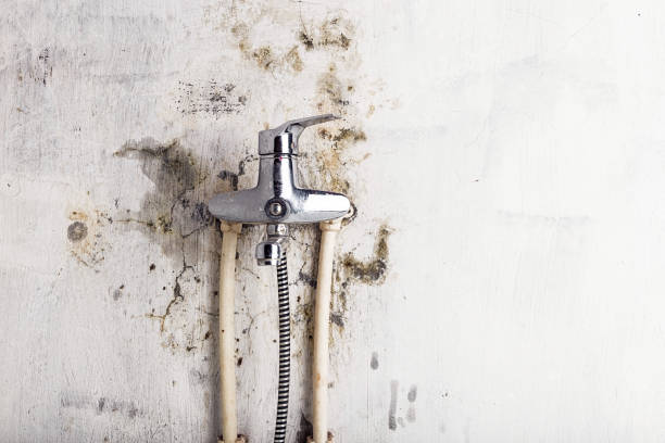 Conway Springs, KS Mold Removal Company