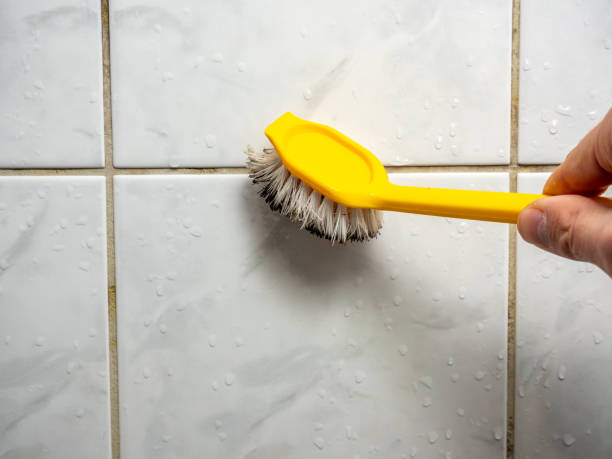 Best Fast Mold Removal  in Conway Springs, KS