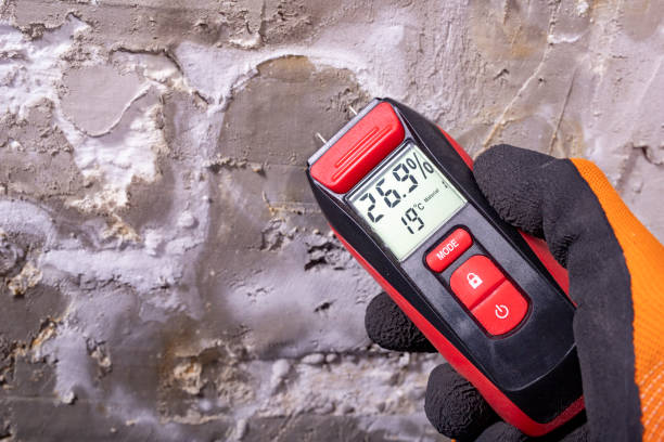 Best Professional Mold Removal  in Conway Springs, KS