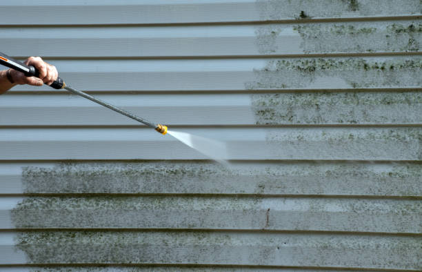 Best Attic Mold Removal  in Conway Springs, KS