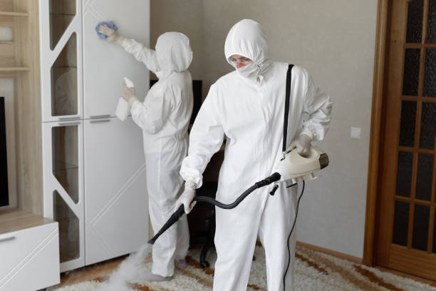 Best Mold Removal and Inspection  in Conway Springs, KS